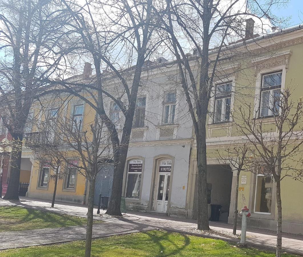 Ferienwohnung Via Tokaj Vendeghaz Sátoraljaújhely Exterior foto