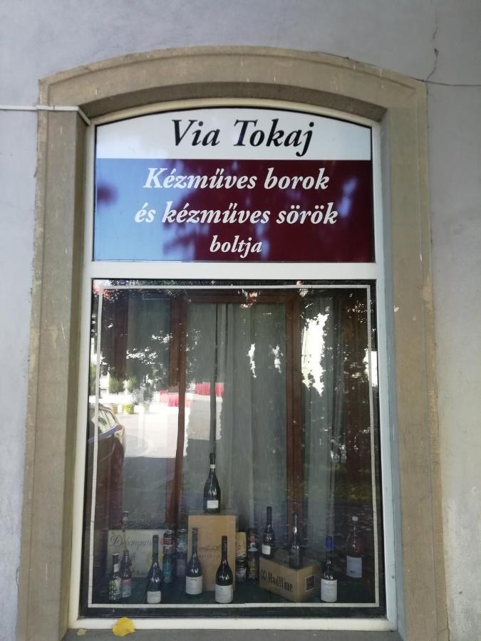 Ferienwohnung Via Tokaj Vendeghaz Sátoraljaújhely Exterior foto
