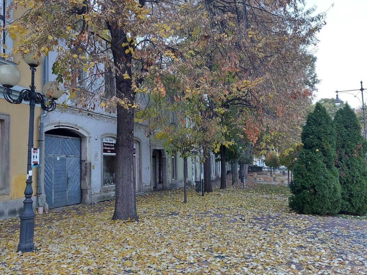 Ferienwohnung Via Tokaj Vendeghaz Sátoraljaújhely Exterior foto