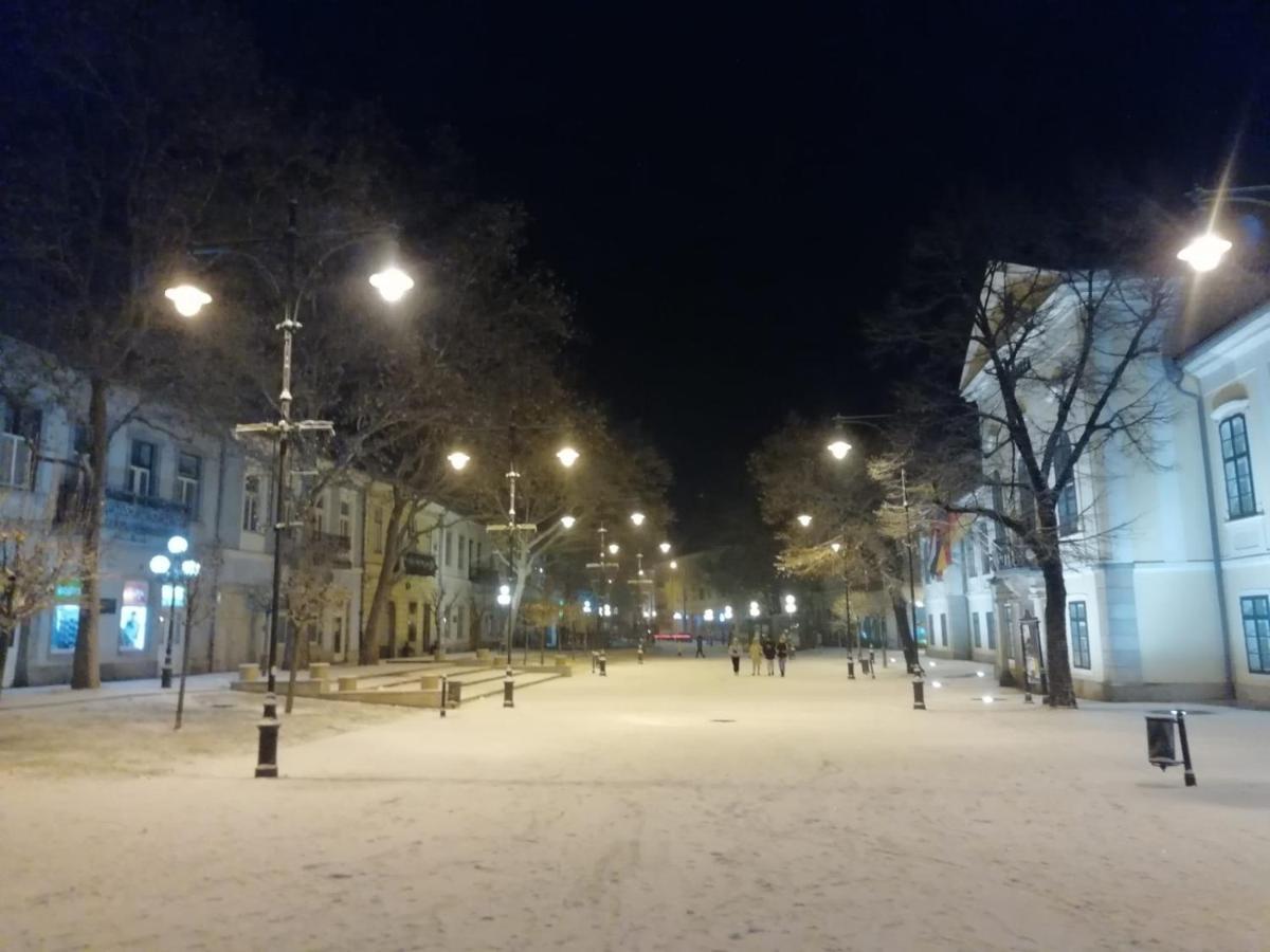 Ferienwohnung Via Tokaj Vendeghaz Sátoraljaújhely Exterior foto