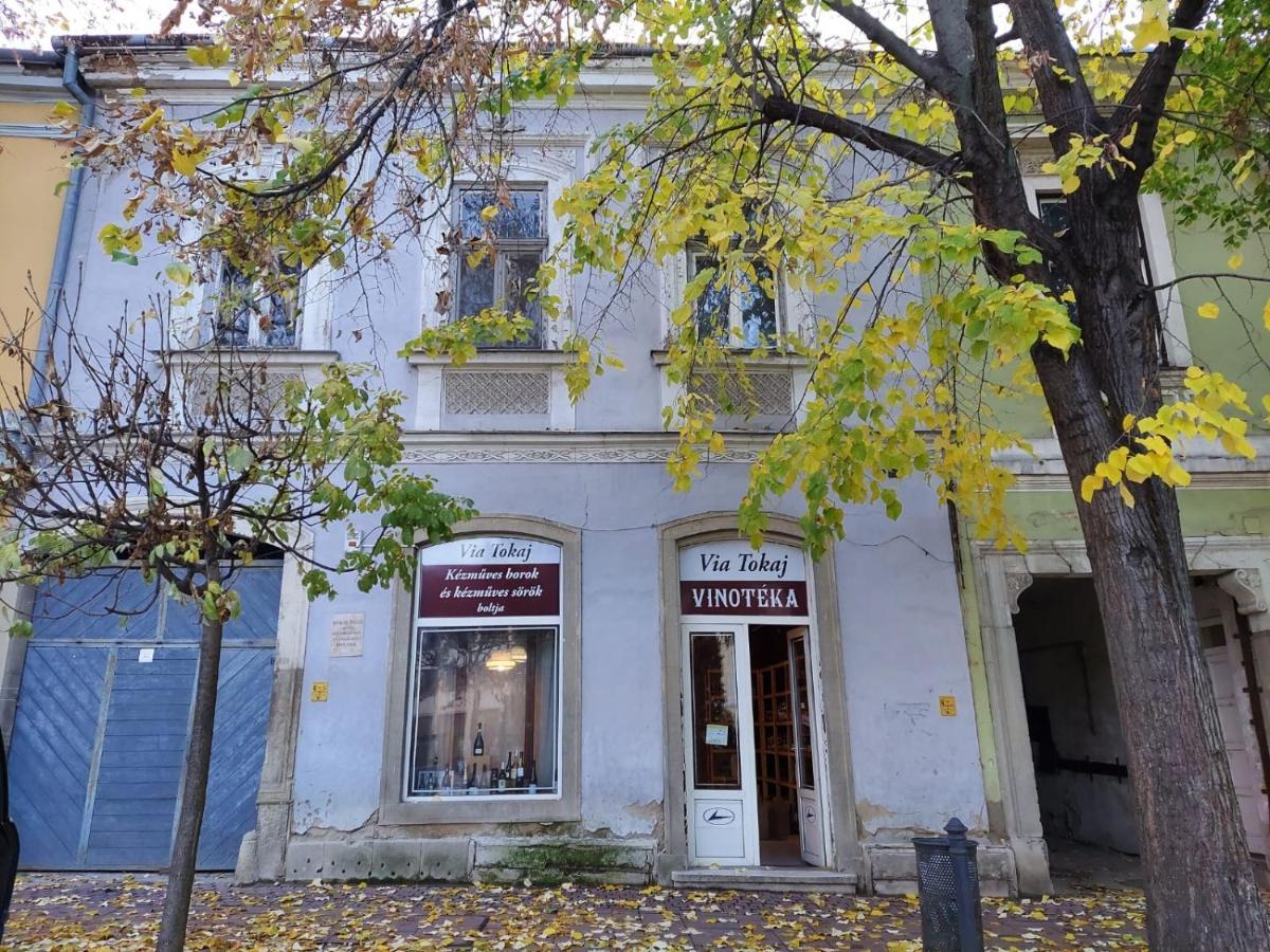 Ferienwohnung Via Tokaj Vendeghaz Sátoraljaújhely Exterior foto
