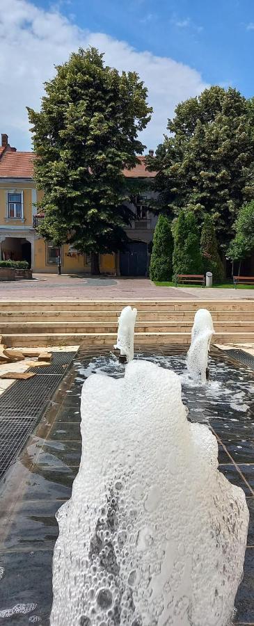 Ferienwohnung Via Tokaj Vendeghaz Sátoraljaújhely Exterior foto