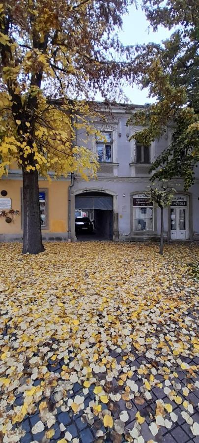 Ferienwohnung Via Tokaj Vendeghaz Sátoraljaújhely Exterior foto